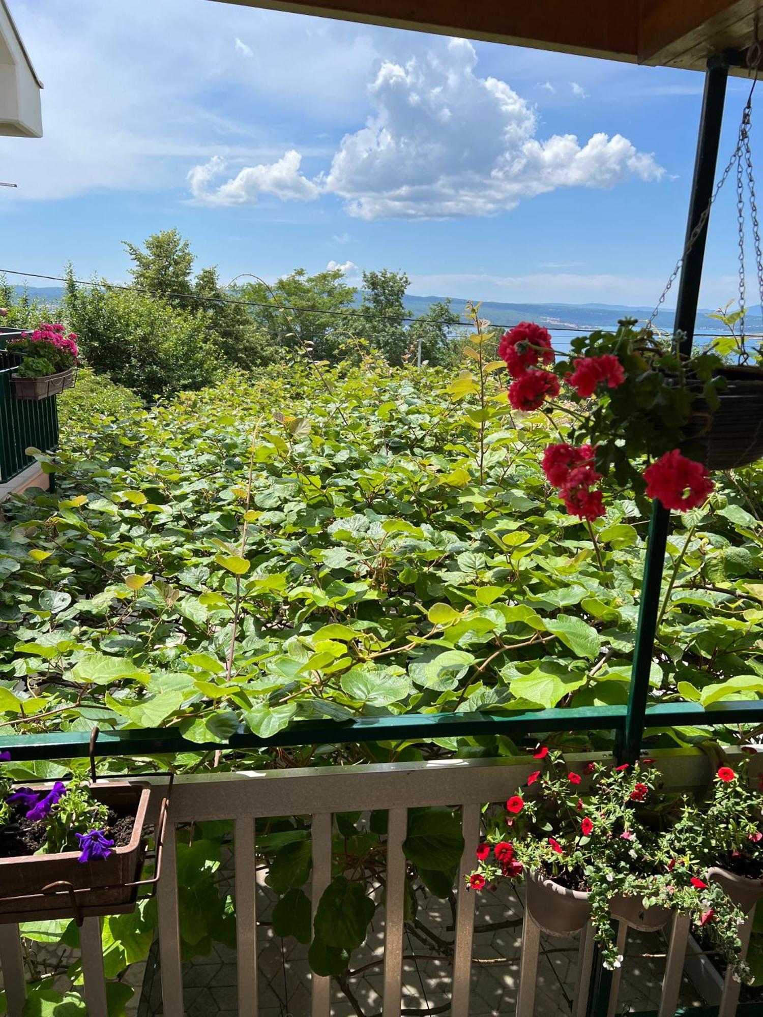 Apartman Ahmicic Crikvenica Esterno foto